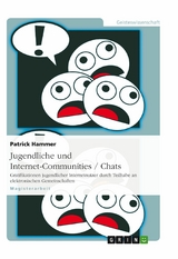 Jugendliche und Internet-Communities / Chats -  Patrick Hammer,  Julius Mittenzwei