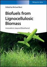 Biofuels from Lignocellulosic Biomass - Michael Boot
