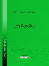 Les Fossiles -  Ligaran, Gaston Tissandier