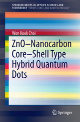 ZnO-Nanocarbon Core-Shell Type Hybrid Quantum Dots - Won Kook Choi