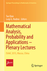 Mathematical Analysis, Probability and Applications &ndash; Plenary Lectures - 
