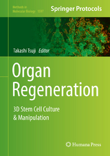 Organ Regeneration - 