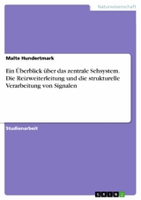 Ein &Uuml;berblick &uuml;ber das zentrale Sehsystem. Die Reizweiterleitung und die strukturelle Verarbeitung von Signalen -  Malte Hundertmark