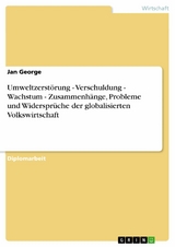 Umweltzerst&ouml;rung - Verschuldung - Wachstum - Zusammenh&auml;nge, Probleme und Widerspr&uuml;che der globalisierten Volkswirtschaft - Jan George