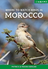 Where to Watch Birds in Morocco - Bergier, Patrick; Bergier, Fedora