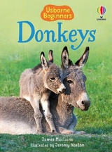 Donkeys - James Maclaine