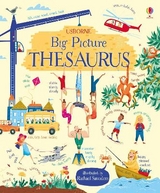 Big Picture Thesaurus - Rosie Hore