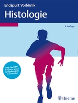 Endspurt Vorklinik: Histologie - 