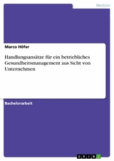Handlungsans&auml;tze f&uuml;r ein betriebliches Gesundheitsmanagement aus Sicht von Unternehmen - Marco H&ouml;fer