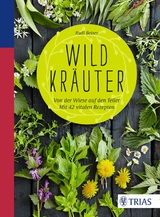 Wildkr&auml;uter - Rudi Beiser
