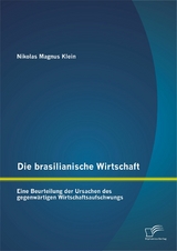 Die brasilianische Wirtschaft: Eine Beurteilung der Ursachen des gegenw&auml;rtigen Wirtschaftsaufschwungs - Nikolas Magnus Klein