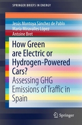How Green are Electric or Hydrogen-Powered Cars? - Jes&uacute;s Montoya S&aacute;nchez de Pablo, Mar&iacute;a Miravalles L&oacute;pez, Antoine Bret