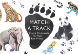 Match a Track