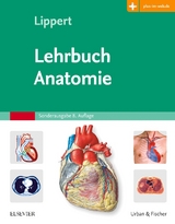 Lehrbuch Anatomie - Lippert, Herbert