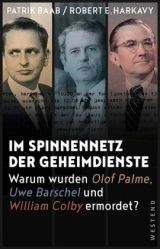 Im Spinnennetz der Geheimdienste - Patrik Baab, Robert E. Harkavy