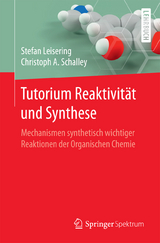 Tutorium Reaktivit&auml;t und Synthese - Stefan Leisering, Christoph A Schalley