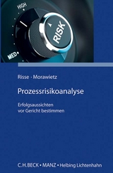 Prozessrisikoanalyse - J&ouml;rg Risse, Matthias Morawietz