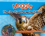 Maggie the One-Eyed Peregrine Falcon - Christie Gove-Berg