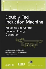 Doubly Fed Induction Machine - Gonzalo Abad, Jes&uacute;s L&oacute;pez, Miguel Rodr&iacute;guez, Luis Marroyo, Grzegorz Iwanski