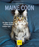 Maine Coon - Birgit Kieffer