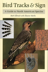 Bird Tracks & Sign -  Mark Elbroch,  Eleanor Marks