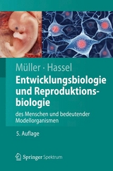 Entwicklungsbiologie und Reproduktionsbiologie des Menschen und bedeutender Modellorganismen - Werner M&uuml;ller, Monika Hassel