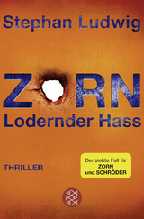 Zorn - Lodernder Hass - Stephan Ludwig