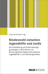 Kindeswohl zwischen Jugendhilfe und Justiz - 