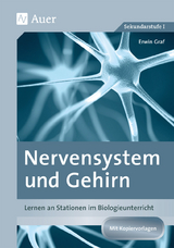 Nervensystem und Gehirn - Erwin Graf