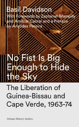 No Fist Is Big Enough to Hide the Sky -  Basil Davidson