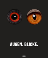 Augen.Blicke. - 