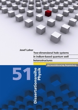 Two-dimensional hole systems in indium-based quantum well heterostructures - Josef Loher