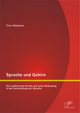 Sprache und Gehirn: Der auditorische Kortex und seine Bedeutung in der Verarbeitung von Sprache - Timo Schweizer
