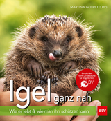 Igel ganz nah - Martina Gehret