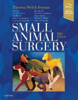 Small Animal Surgery Expert Consult - Fossum, Theresa Welch