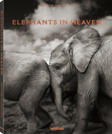 Elephants in Heaven - Joachim Schmeisser