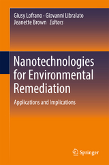 Nanotechnologies for Environmental Remediation - 
