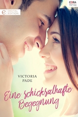 Eine schicksalhafte Begegnung - Victoria Pade