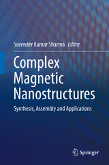 Complex Magnetic Nanostructures - 