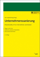 Unternehmenssanierung - Hartmut Brandt, Patrick Frauenheim, Petra Gabriel, Sven Gebhardt, Robin Mujkanovic, Hans Richter, Walter Rust, Gunter Leoprechting