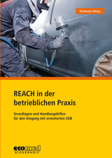 REACH in der betrieblichen Praxis - Monika Bless, Gabi B&uuml;ttner, Florian Gehlhaar, Kerstin Heitmann, Eileen Kranz, Nils Pagels, Susanne Zahn