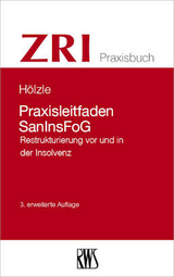 Praxisleitfaden SanInsFoG - Gerrit H&ouml;lzle