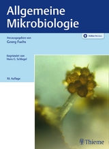 Allgemeine Mikrobiologie - Fuchs, Georg; Schlegel, Hans G.