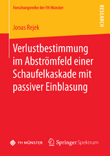 Verlustbestimmung im Abströmfeld einer Schaufelkaskade mit passiver Einblasung - Jonas Rejek