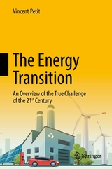 The Energy Transition - Vincent Petit