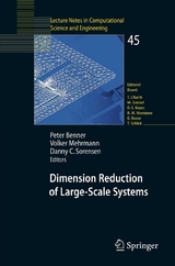 Dimension Reduction of Large-Scale Systems - 