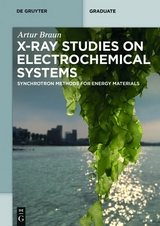X-Ray Studies on Electrochemical Systems - Artur Braun