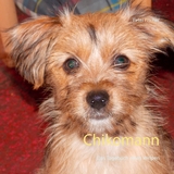 Chikomann - Peter S. Fischer