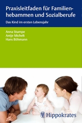 Praxisleitfaden f&uuml;r Familienhebammen und Sozialberufe -  Anna Stumpe,  Hans B&ouml;hmann,  Antje Michelt