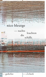 nachts leuchten die schiffe - Nico Bleutge